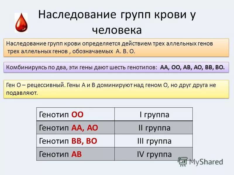 Взаимодействие генов групп крови. Наследование групп крови системы АВО У человека. Механизм наследования групп крови и резус системы. Механизм наследования групп крови системы ав0 и резус системы. Наследование группы крови по системе rh.