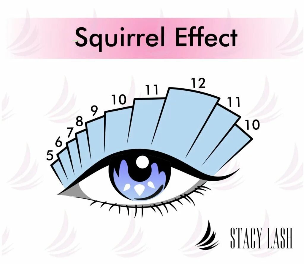 Беличий эффект наращивание схема. Беличий эффект ресниц схема. Эффект белка наращивание ресниц схема. Беличий эффект наращивание ресниц схема.