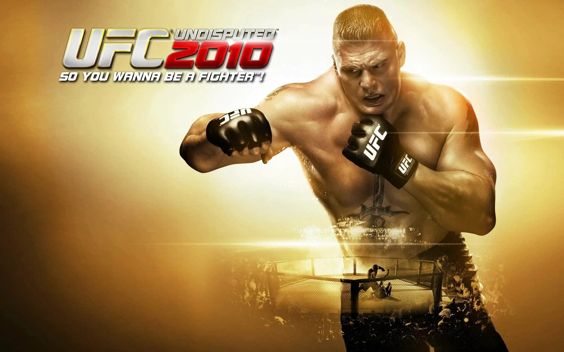 Ufc без правил. Ufc обои.