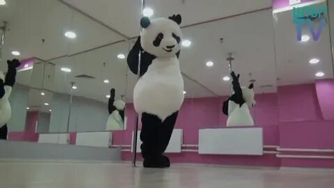 Панда танцует видео