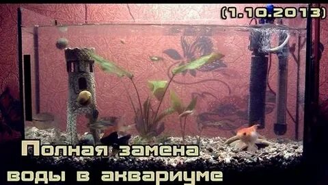 Когда менять воду