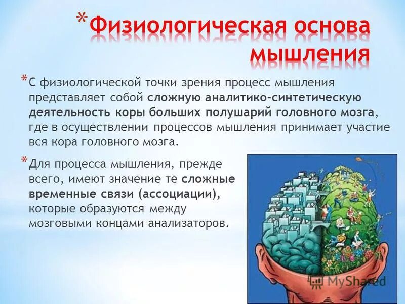 Физиологические основы процесса. Физиологические основы мышления. Физиологические основы воображения. Физиологическая основа процесса мышления. Мышление и деятельность.