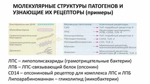 Распознают патогены