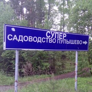 Пупышево погода