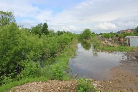 Уровень реки бира