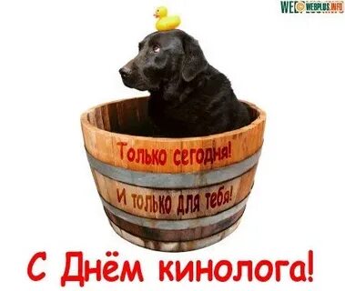 С днем кинолога картинки прикольные