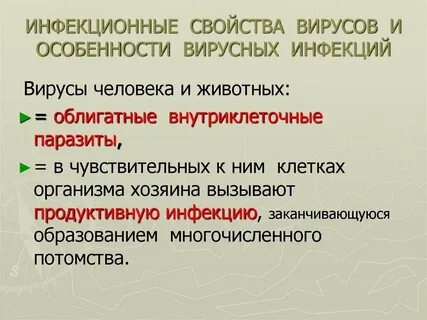 Характеристика вирусных инфекций