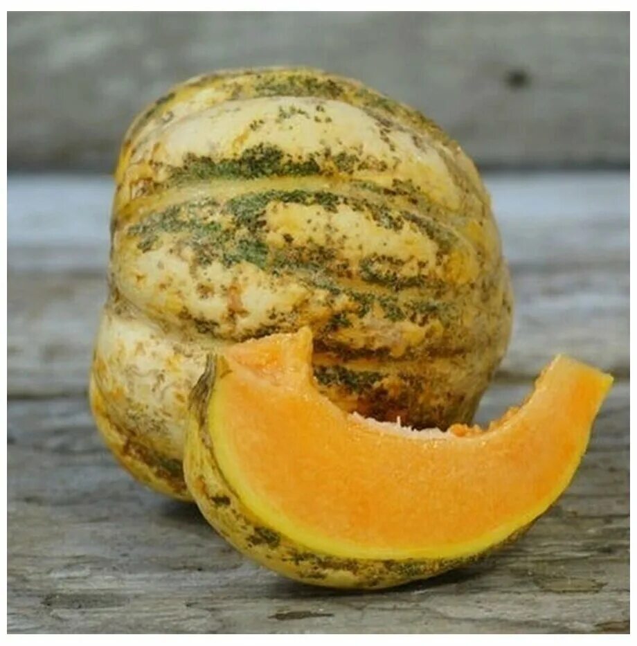 тыква ф1 дынька. Zucca тыква семена. тыква дынная седек. тыква дыня семена. тыква сорт дынная.