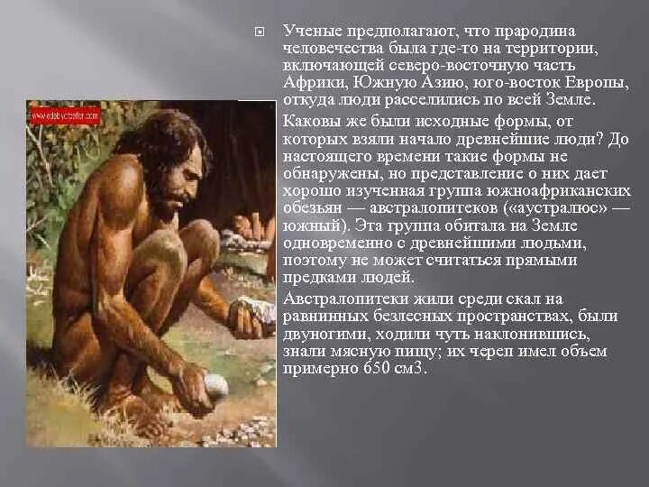 Африка является прародиной современного человека. Гипотезы о прародине человека. прародина человека конспект. прародина первобытных людей. гипотезы о прародине человека кратко.