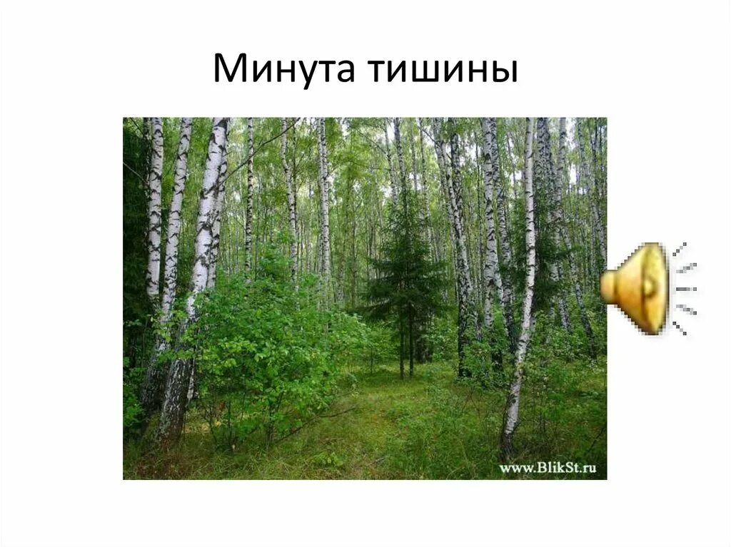 Минус песни минута тишины. Минута тишины. Минута тишины картинка. Минута тишины приколы. Минуты тишины текст.