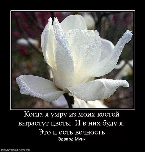 когда я умру песня. смерть надпись. фотография от которой ты заплачешь. красивые фразы про смерть. когда я уйду ты заплачешь.