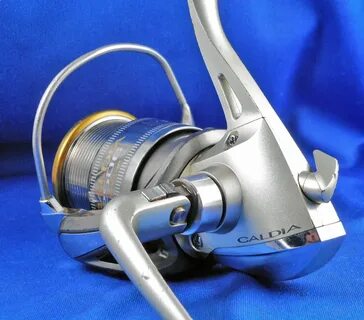 Daiwa caldia