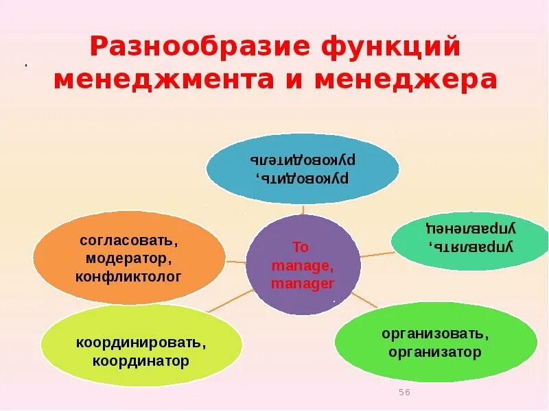 Социальные роли в менеджменте. Разнообразие функций. Многообразие возможностей. Разнообразие сфер.