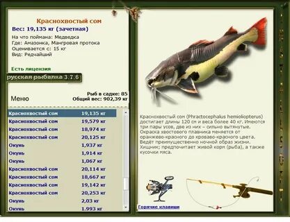 Реальная рыбалка сом