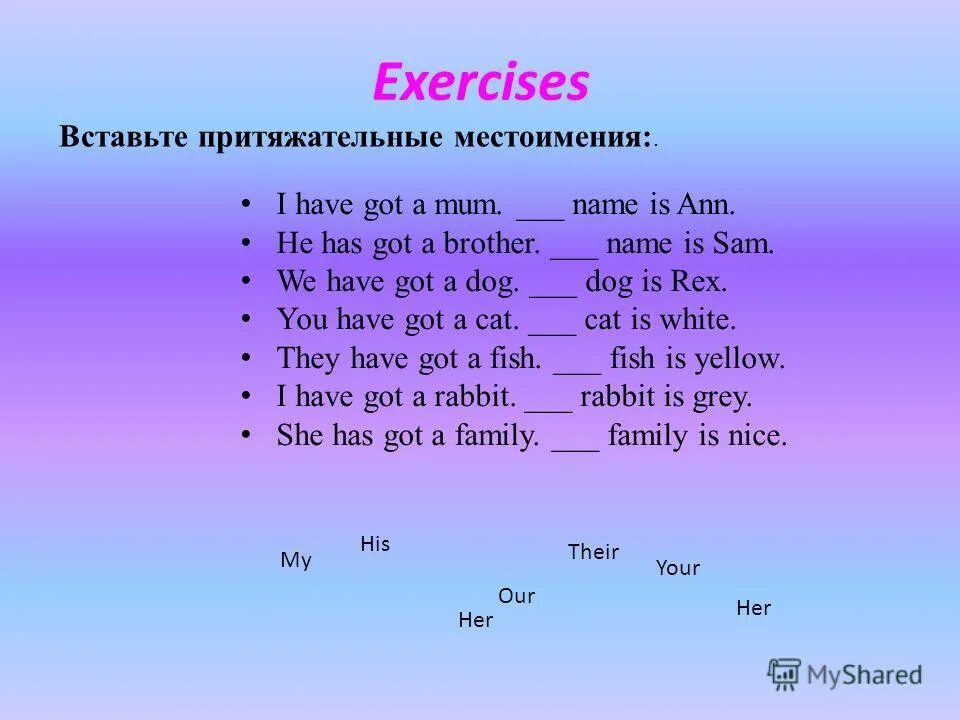 Короткие рассказы на английском. There is are some any правило. Ann has got a cat. Задания по английскому 3 класс притяжательные местоимения. Предложения с i have got.