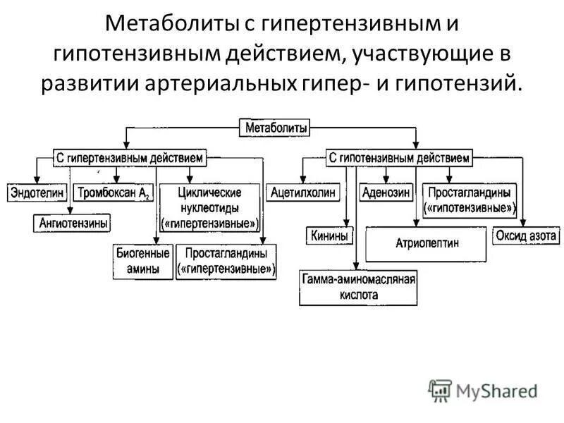 Патология ад