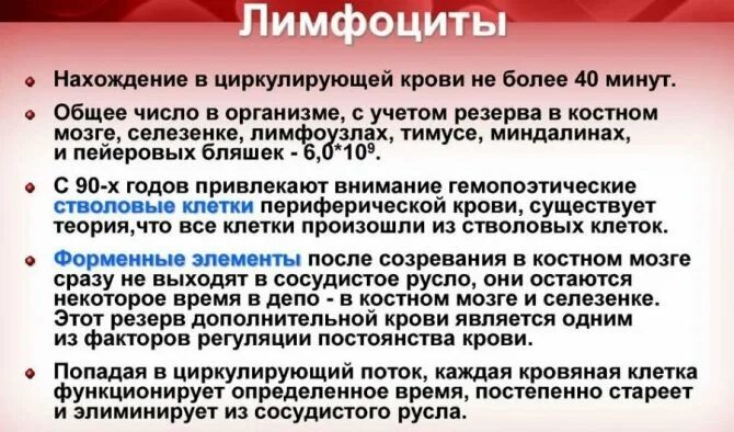 Лимфолейкоз показатели крови. Общий анализ крови при хроническом лимфолейкозе. Хронический лимфолейкоз показатели. Анализ хронический лимфолейкоза. Лимфолейкоз показатели