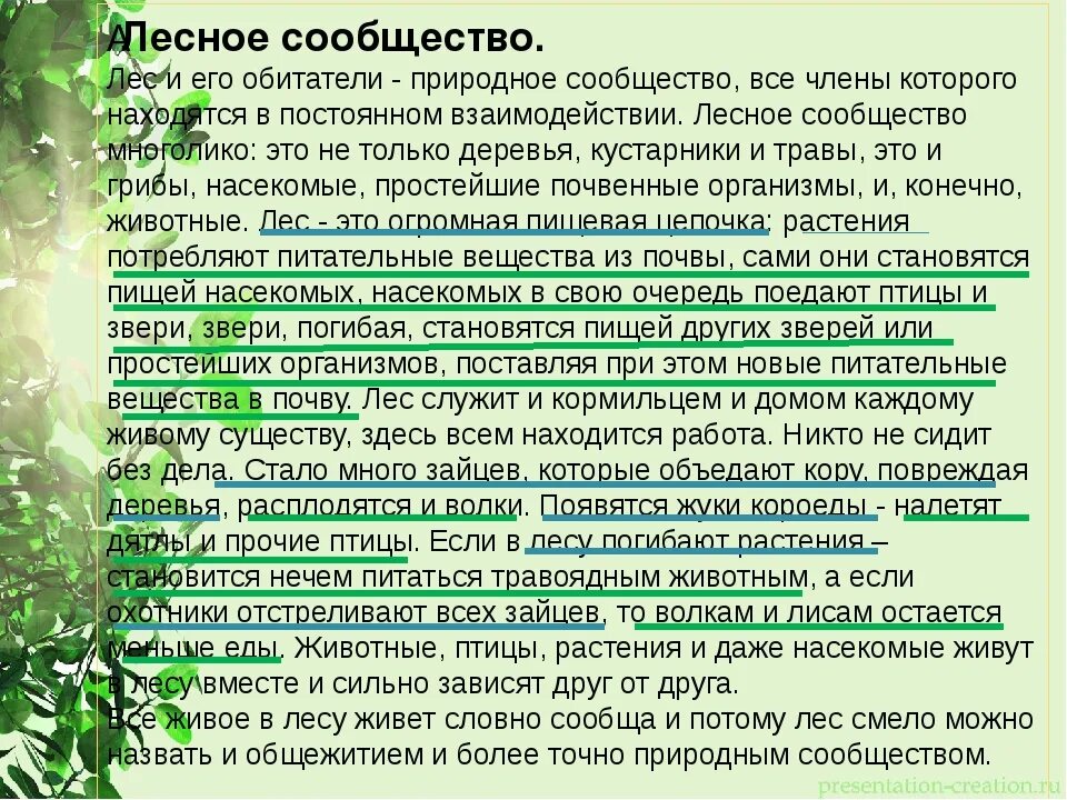 Дать определение природному сообществу. Рассказ о Лесном сообществе. Доклад о Лесном сообществе. Ljrkfl YF ntveприродное сообщество. Лес природное сообщество доклад.