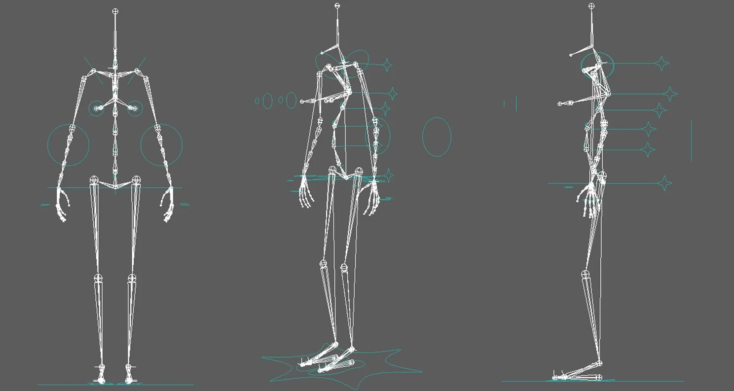 Character rigging