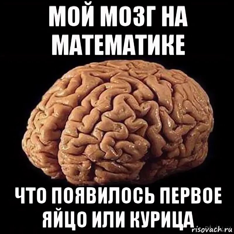 Мозг Мем. Мой мозг на математике. Я И мой мозг.