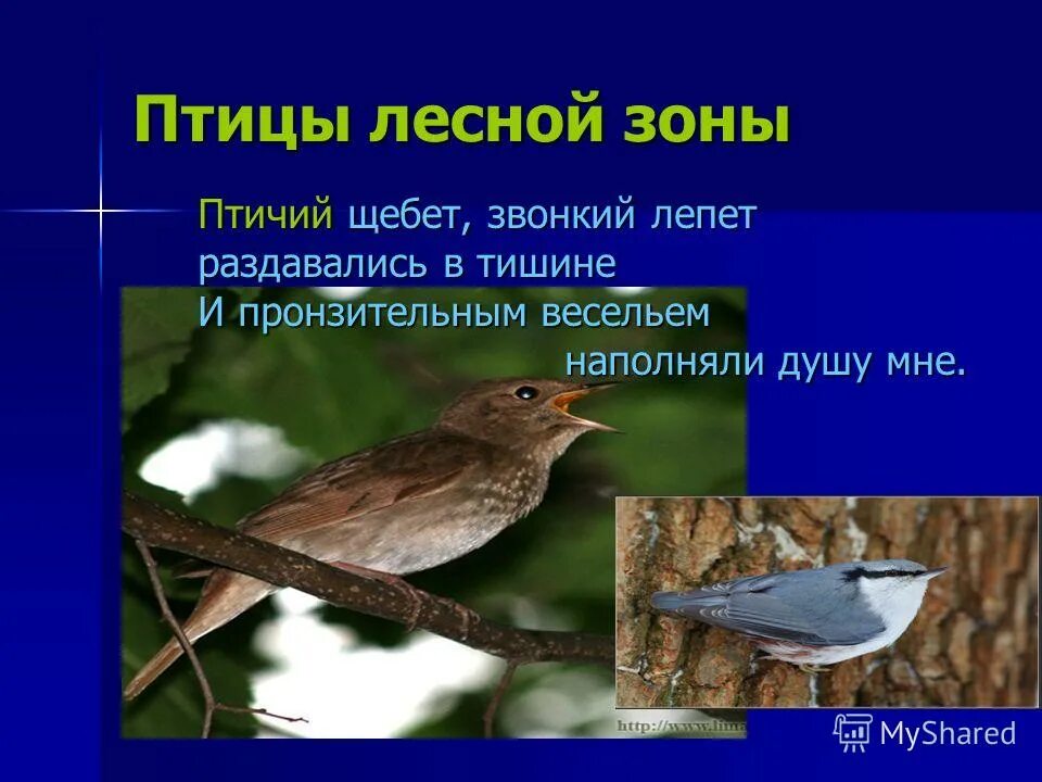 шепотом щебетом лепетом