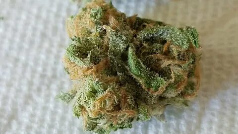 Haze piece present