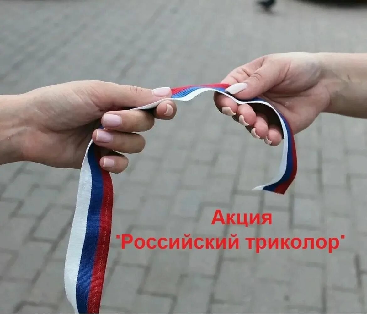 Акция на прозрачном фоне. Лента бирюза. Красная ленточка акция 2022. Акция без фона. Ленточка акция.