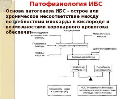 Патогенез ишемической болезни сердца