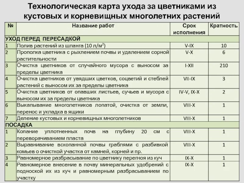 Карту ухаживать. Технологическая карта для многолетних растений. Технологическая карта по уходу за цветниками. Технологическая карта ухода. Технологическая карта по уходу за растениями.