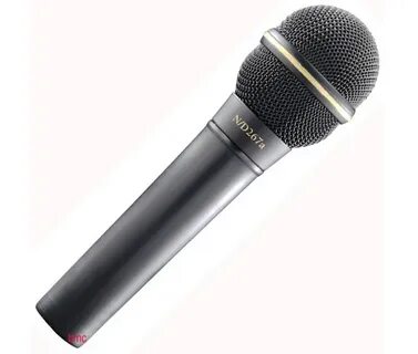Voice mic