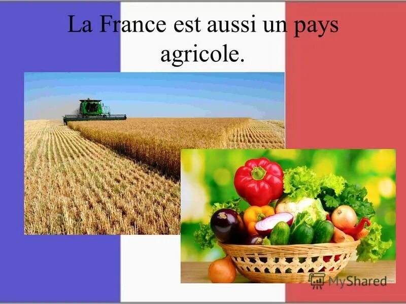 Картинки на тему la france. La france текст 1. Текст paris est la capitale de la france. Реки франции на карте на французском. Презентация на французском языке.