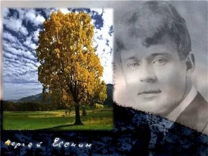 С а есенин я покинул