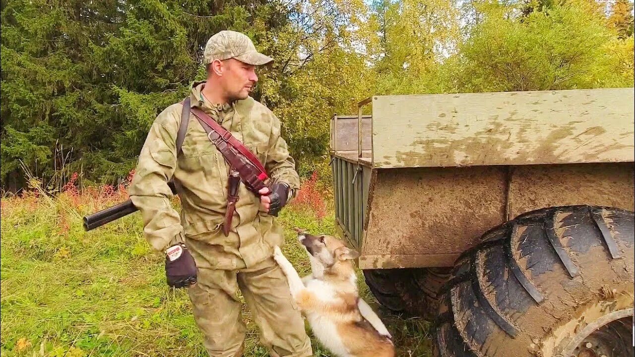 Охотник терпеливо натаскивал