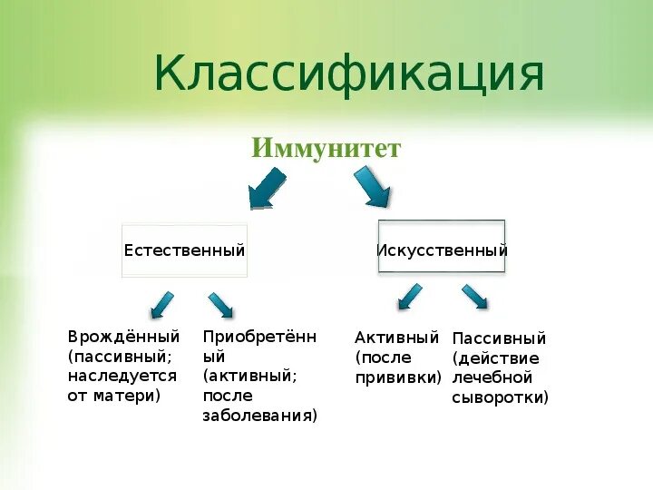 Иммунитет схема по биологии 8 класс. Видовой иммунитет это 8 класс. Естественный и искусственный иммунитет биология 8 класс. Виды иммунитета таблица 8 класс по биологии.