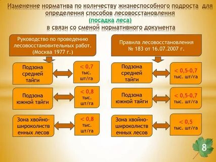 Правила лесовосстановления состава проекта лесовосстановления