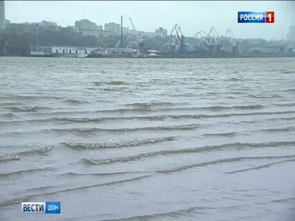 Река дон на сколько поднялась