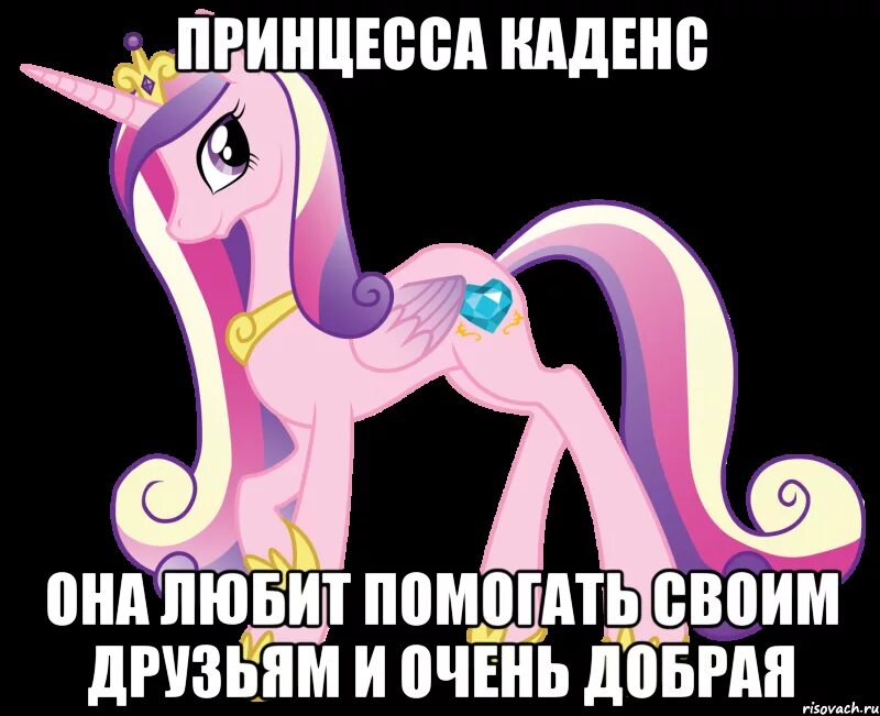 Мем она принцесса. Принцесса каденс кристальная пони. Принцесса миаморе каденс пони. Princess cadence. Каденс пони.