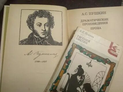 Язык пушкина