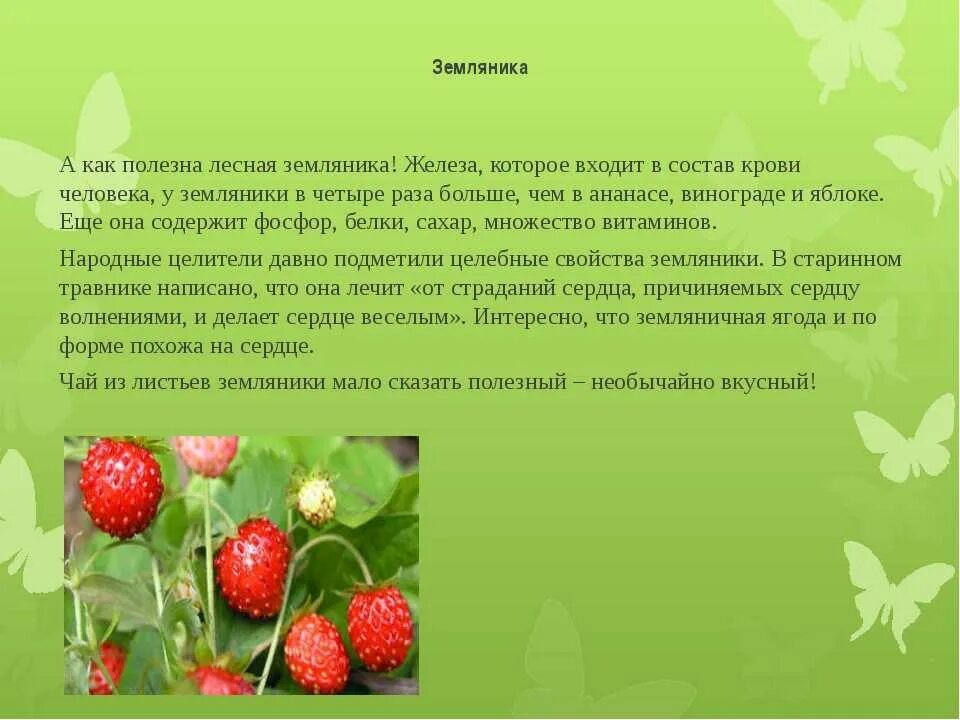 Ягодка характеристика. Земляника описание. Доклад про землянику. Что такое земляника кратко. Описание ягоды земляники.