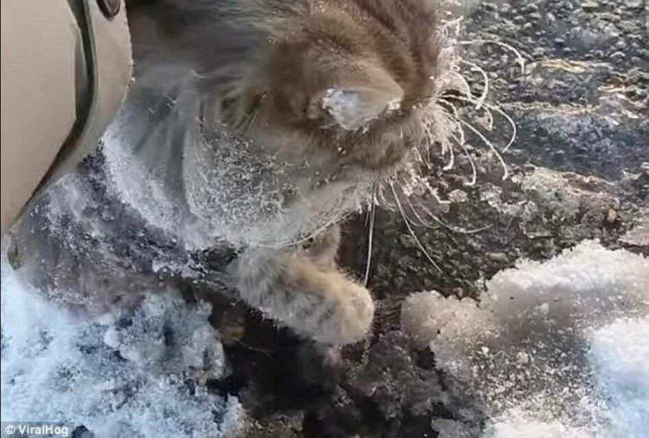 Замерзаю в теплой воде