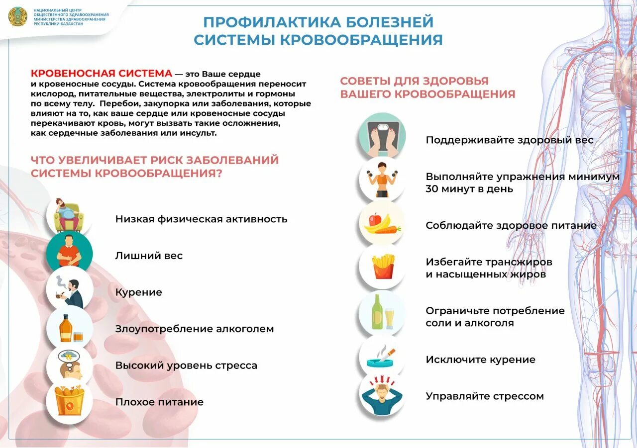 Профилактика заболеваний центр. Профилактика болезней системы кровообращения факторы риска. Факторы риска сердечно-сосудистых заболеваний памятка. Памятка факторы резкой сердечно - сосудистых заболеваний. Питание для профилактика болезней системы кровообращения.