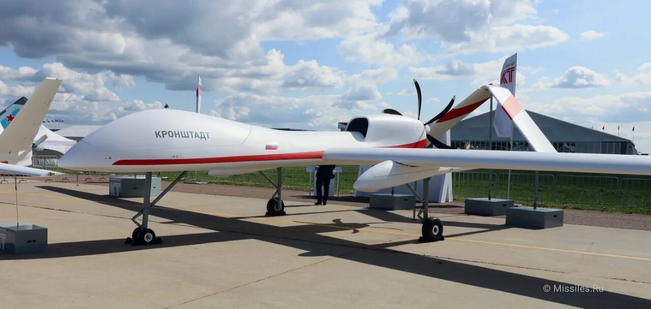 Бпла wing loong 1. Northrop grumman mq-4c triton. Беспилотный самолет. Самый большой бпла. Mq-4 global hawk.
