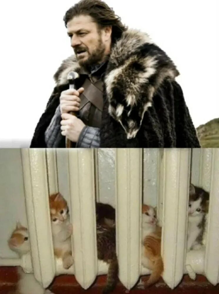 Сессия близко мем. Джон сноу зима близко. Готовьтесь глупцы. Зима близко юмор. Финал близок.