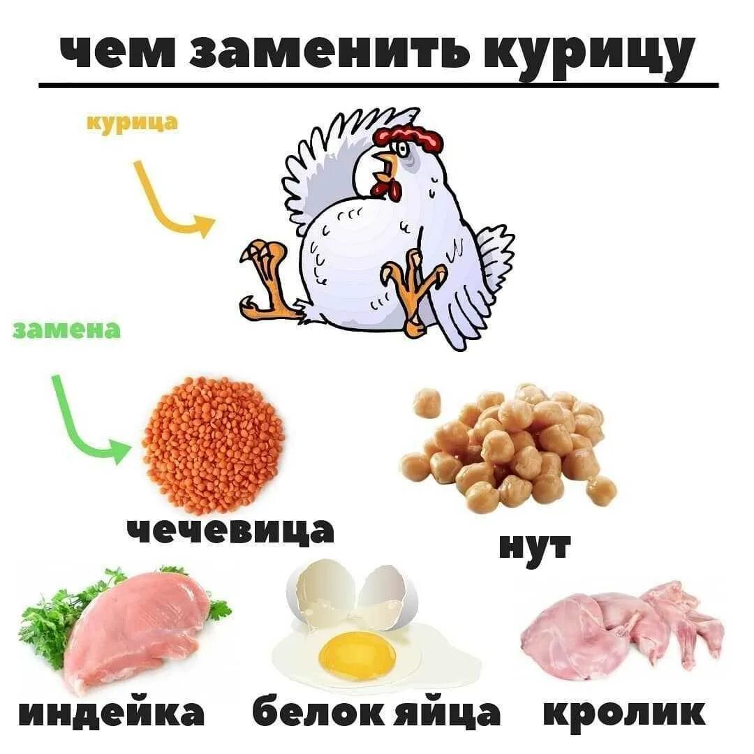 Белки в продуктах питания. Белок в курице. Животный белок. Количество белка в курице.