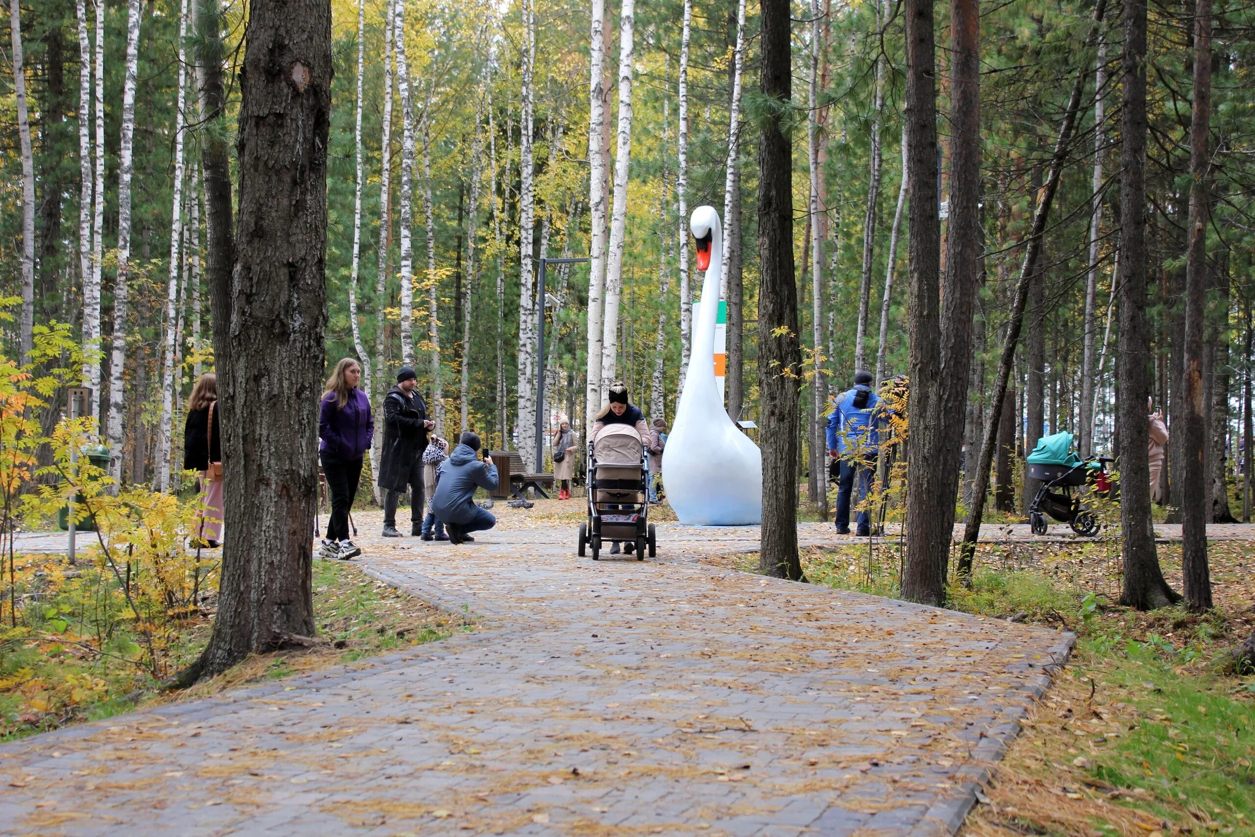 Крылов парк. Парк имени и.а. Крылова, Сургут. Городской парк Сургут. Хрич парк Сургут.