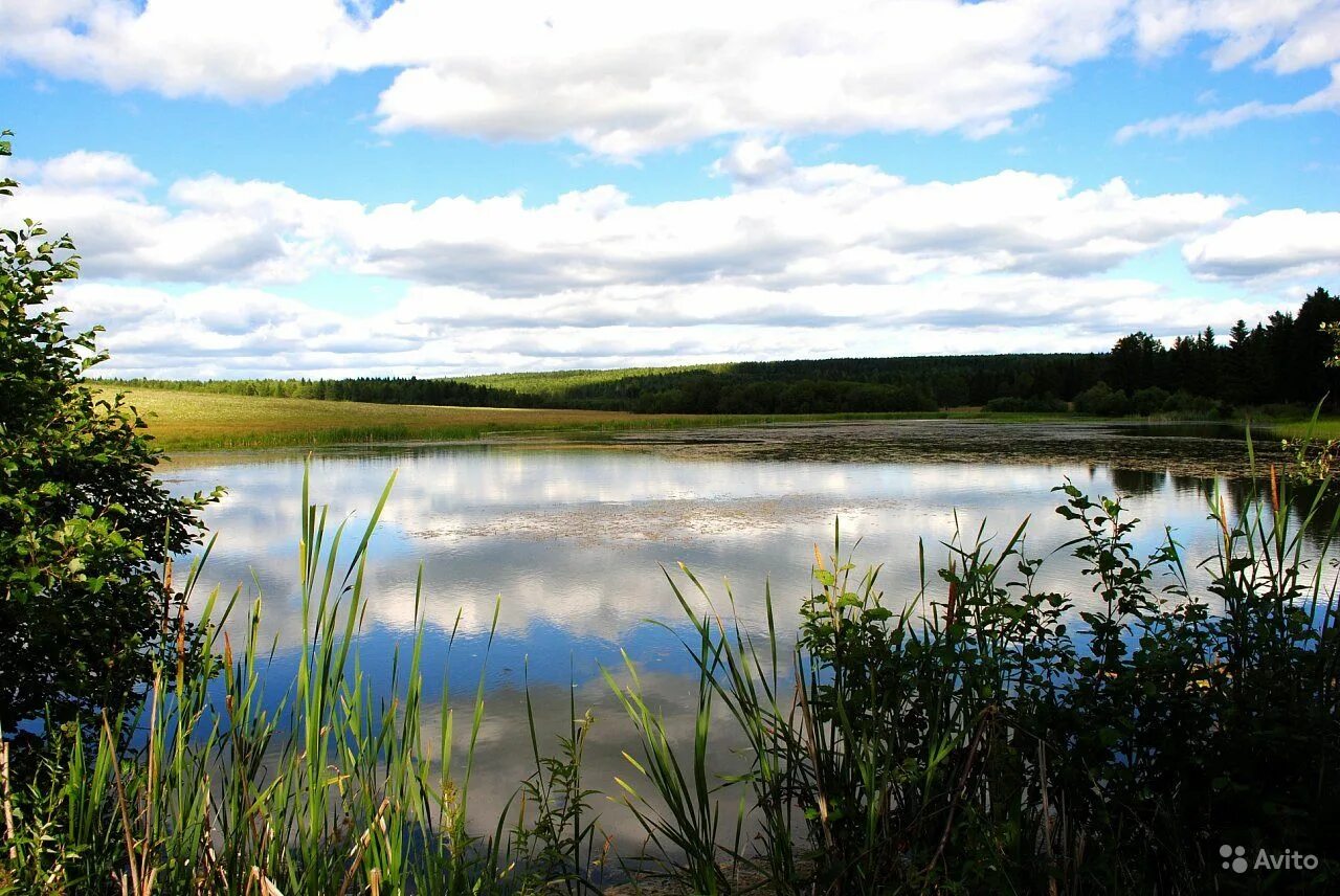 водоемы свердловской. некрасовские озера каменск уральский. село мраморское пруд. голубое озеро солнечногорск. водоем в березовском свердловской области.