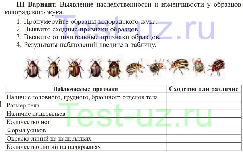 Лабораторная работа выявление изменчивости организмов. Выявление изменчивости организмов таблица примеры. Лабораторная работа изучение изменчивости у организмов. Тест по биологии наследственность