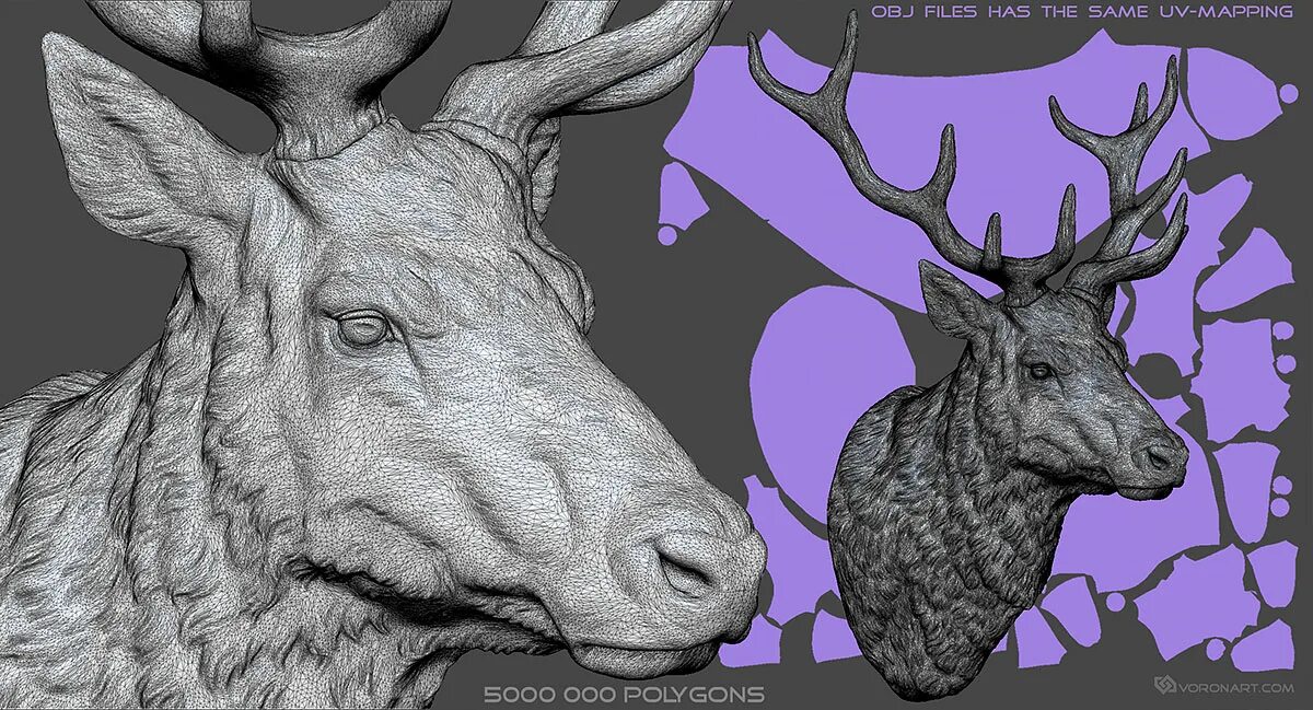 Рога 3д модель. Голова оленя анатомия. олень референс голова. олень zbrush. голова северного оленя модель.