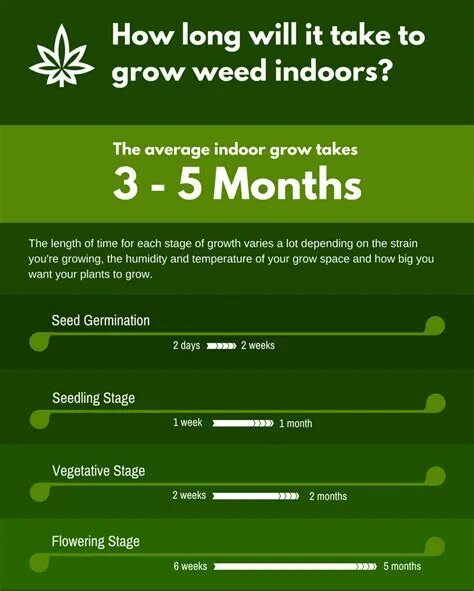 Стаелс гровинг. Фирма time to grow. Weed withdrawal how long. How long does Ivy grow.