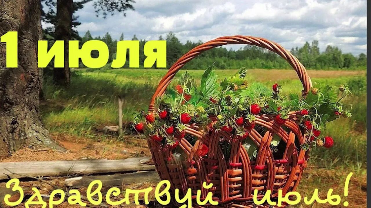 С первым днем июля картинки. С первым днем июля. Открытки июль. Поздравление с первым днем лета. С первым днем июля.